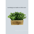 Plastic Sage Leave Fake Flower Artificial Plant with Wooden Pot for Home Decoration (51109)